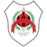 艾雷恩B队logo