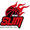 BNK釜山萨姆女篮logo