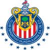 瓜达拉哈拉logo