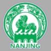南京队logo
